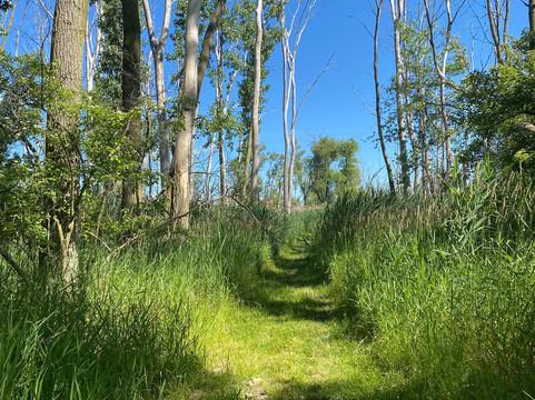 East Harbor State Park-Marblehead必去景点
