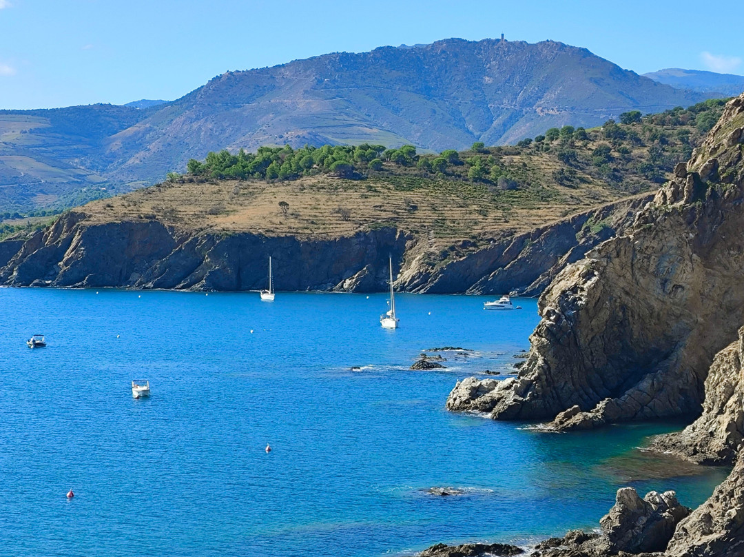 Phare du Cap Béar景点图片