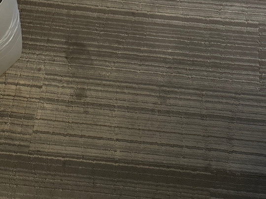 纽波特纽斯假日酒店及套房主图