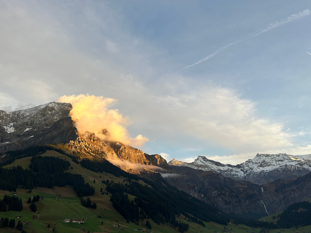 寒武纪酒店主图