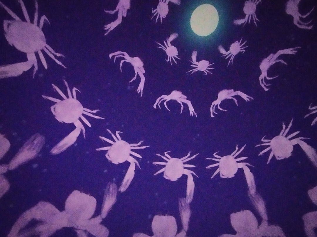 麦德林天文馆-麦德林必去景点