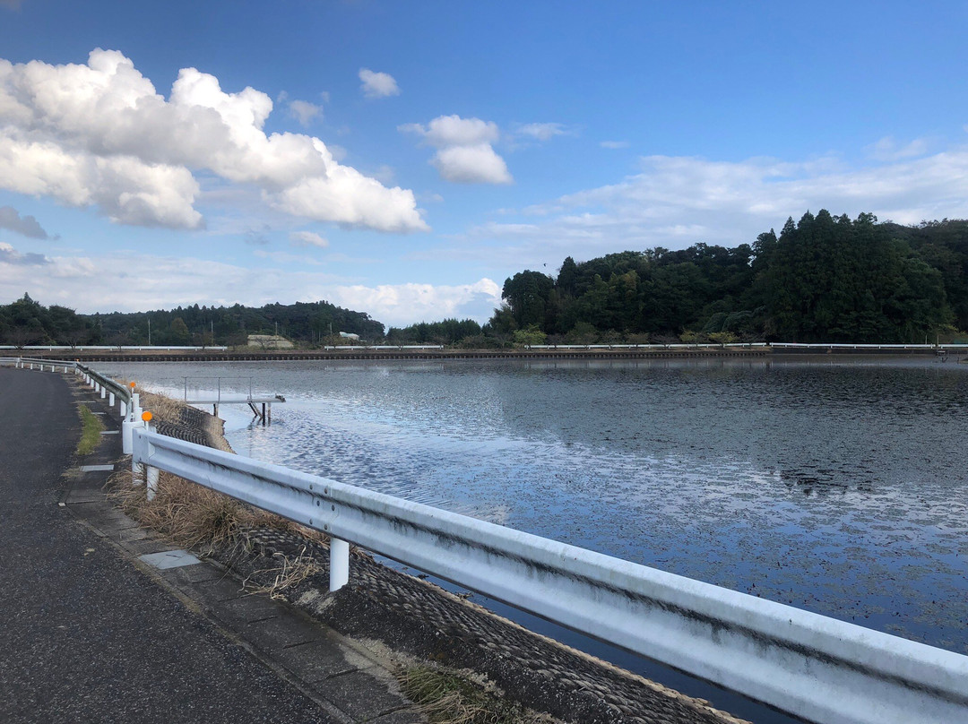 Hattaseki Cosmos Field-茂原市必去景点