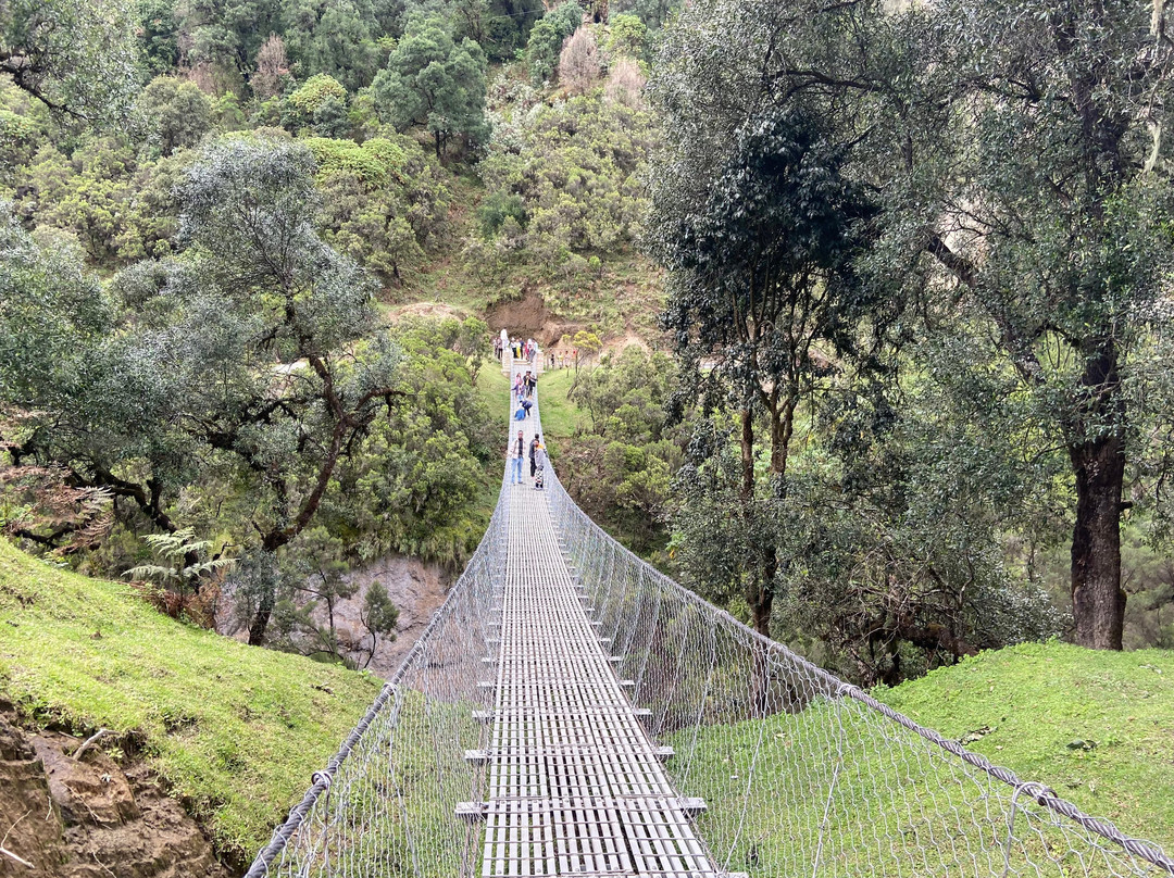 Eyayaw Tours Ethiopia景点图片