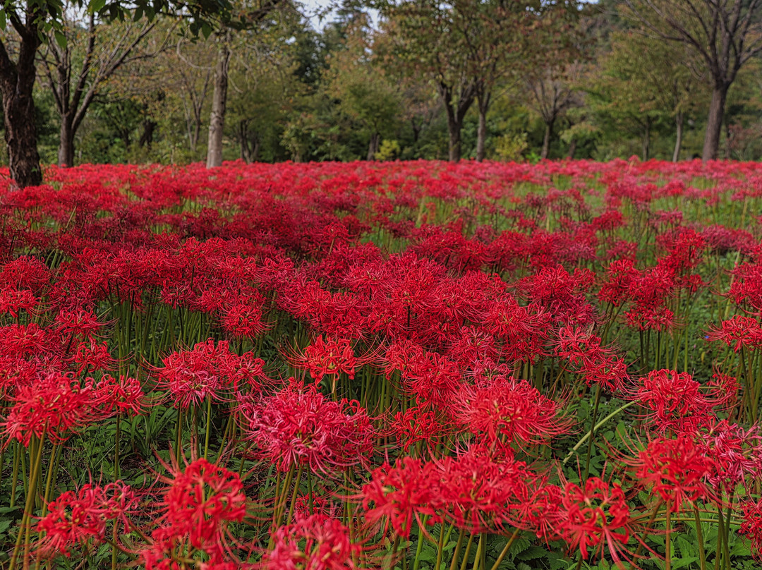 Yukiguni Garden Park-长冈市必去景点