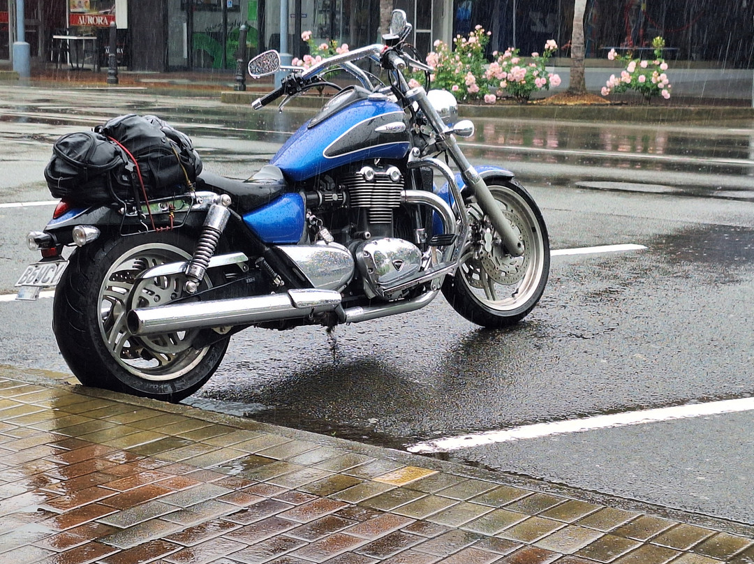 Fiesta Court Motel主图