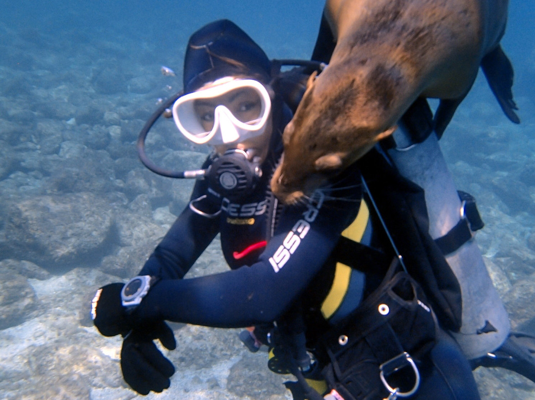 The Dive Gurus-拉巴斯必去景点