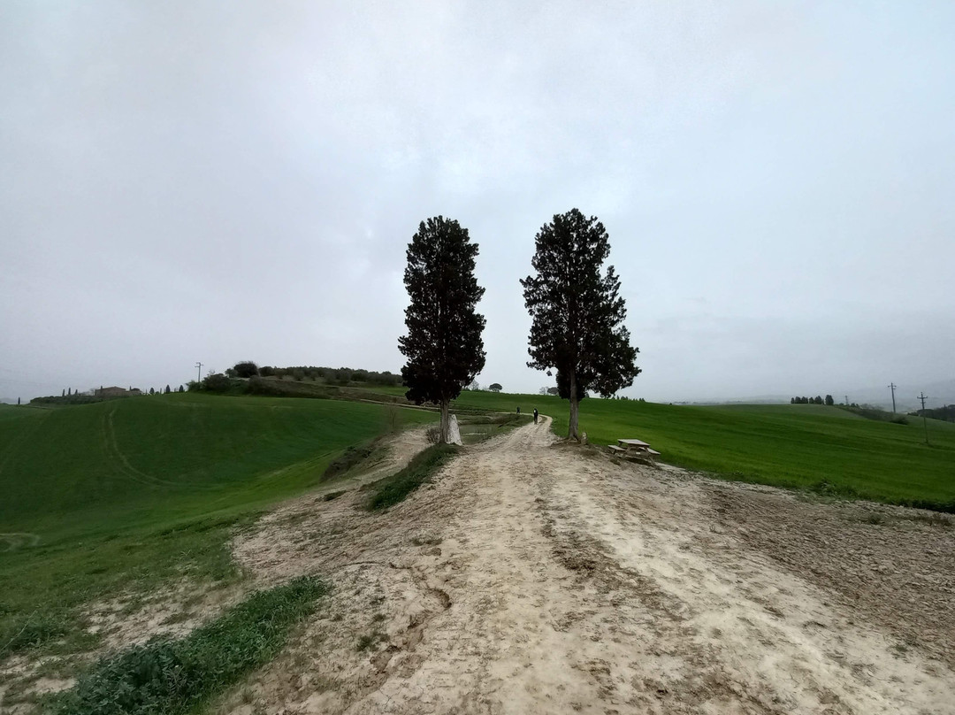 Via Francigena Tappa 35 Ponte d'Arbia - San Quirico d'Orcia景点图片