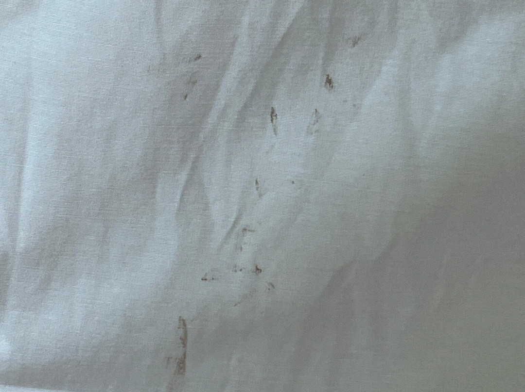 Pousada Solar dos Carneiros主图