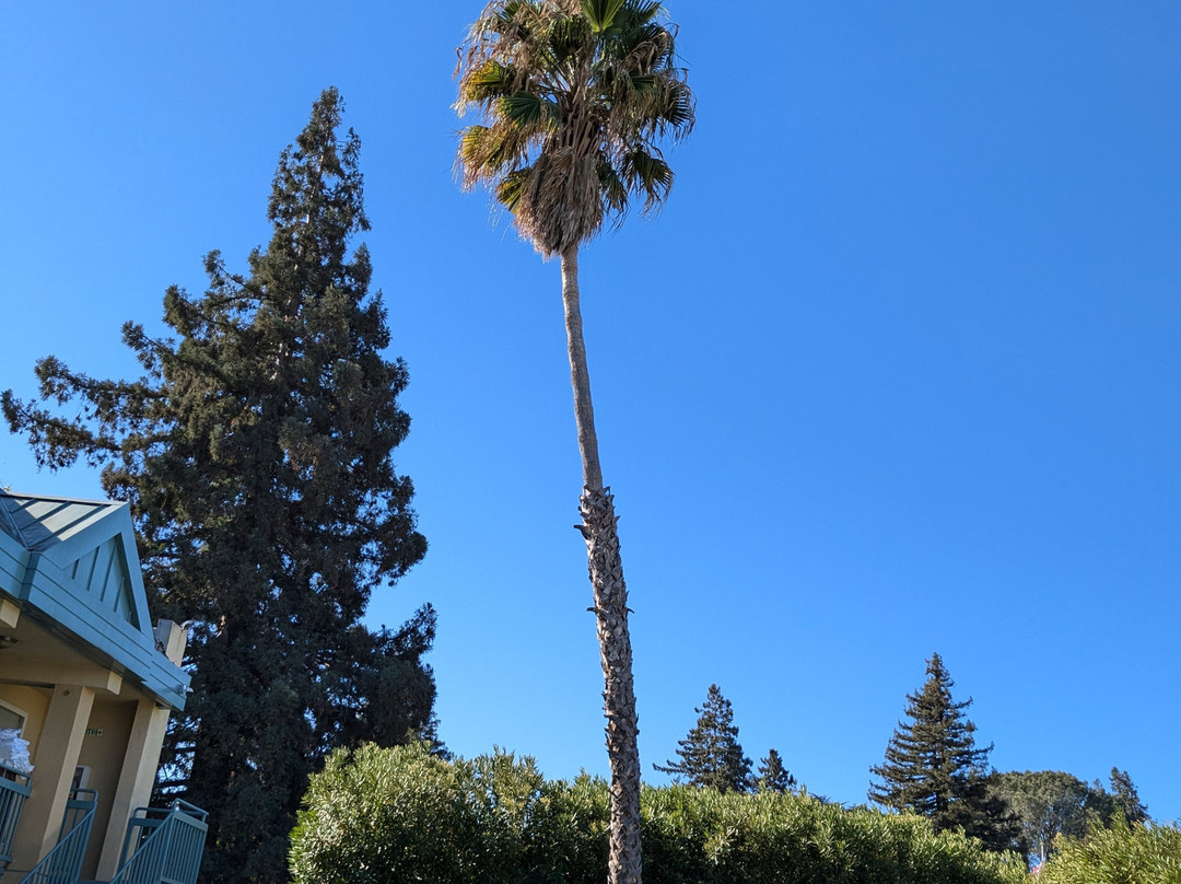 Best Western Inn主图