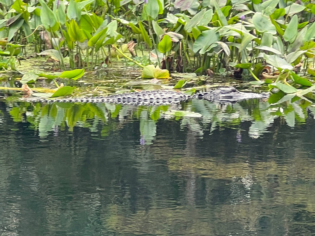 Captain Rob-Silver Springs必去景点