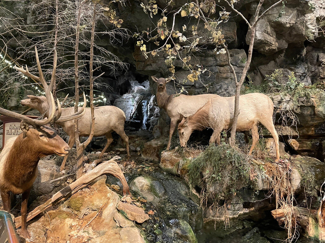 Bass Pro Shops Outdoor World-斯普林菲尔德必去景点