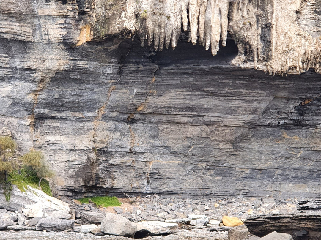 Fossil Cliffs景点图片