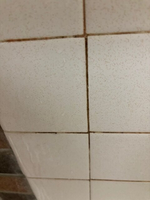 Ramada by Wyndham Lethbridge主图