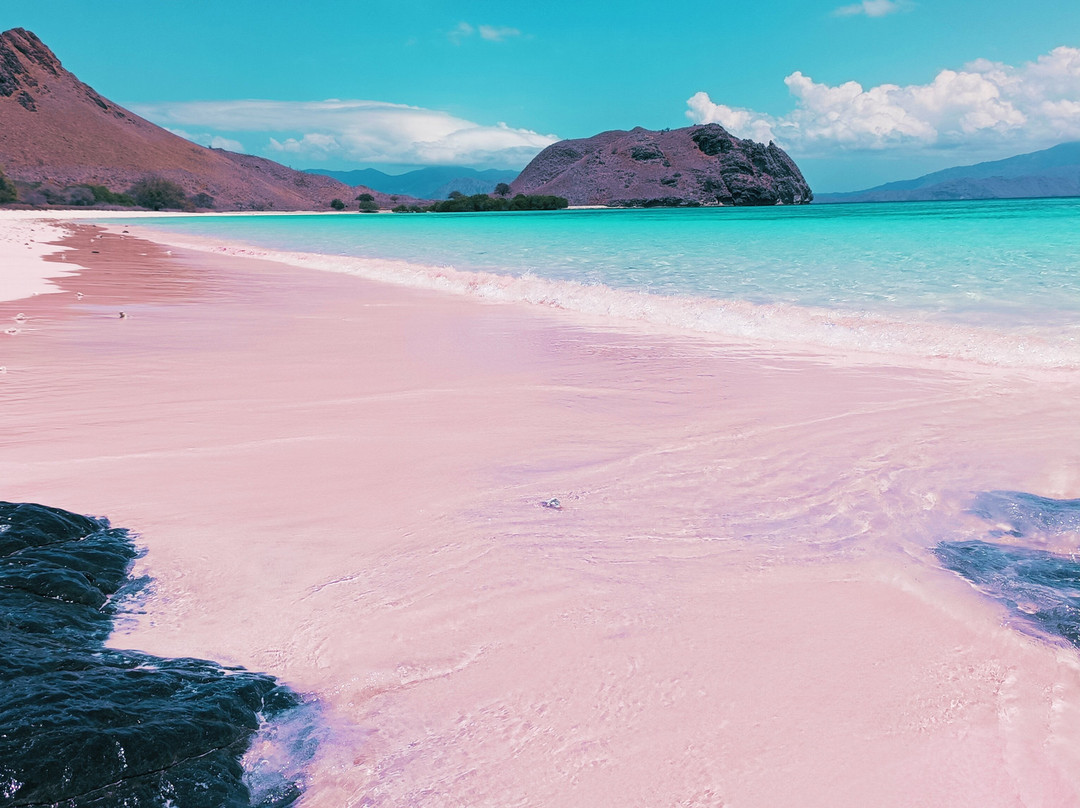 Pink Beach-科莫多必去景点