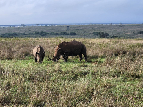 Epic Views Tours & Travel-内罗毕必去景点