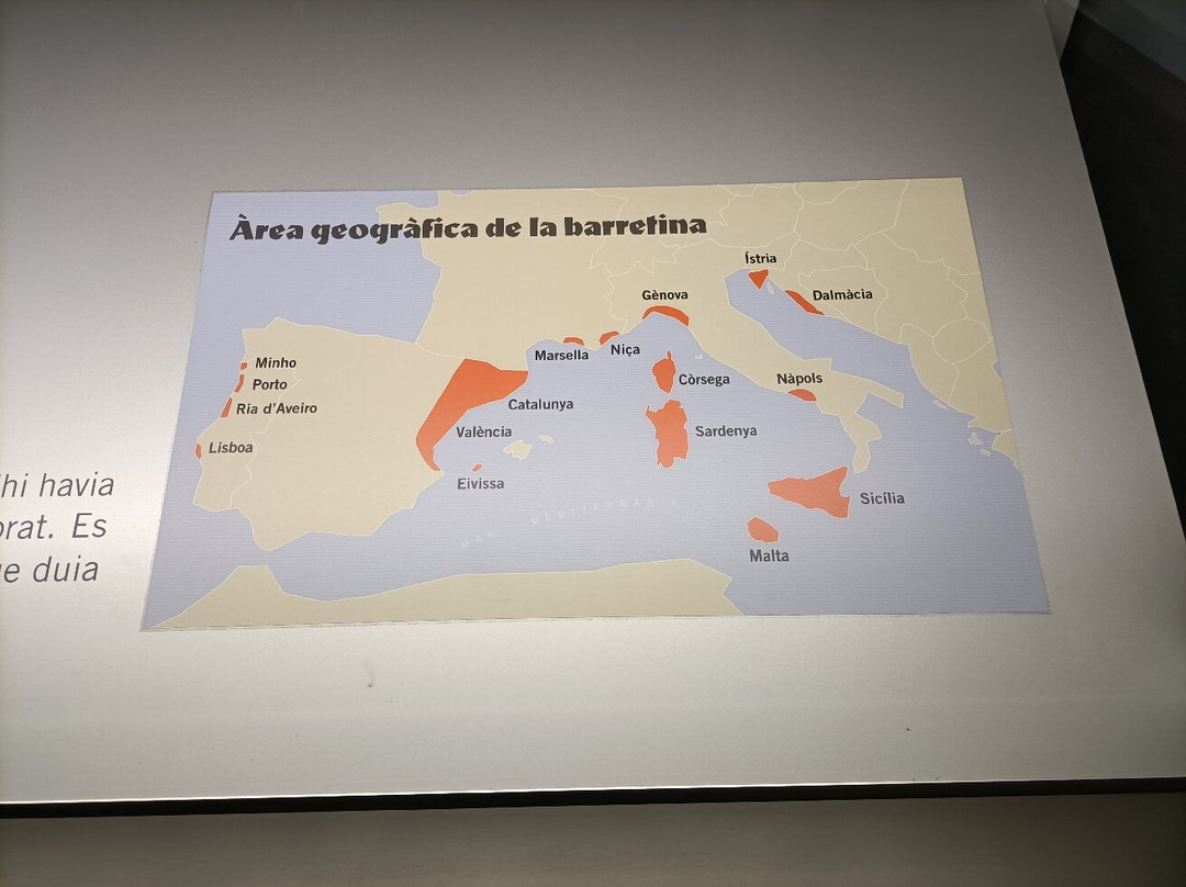 Museu Etnogràfic de Ripoll-Ripoll必去景点