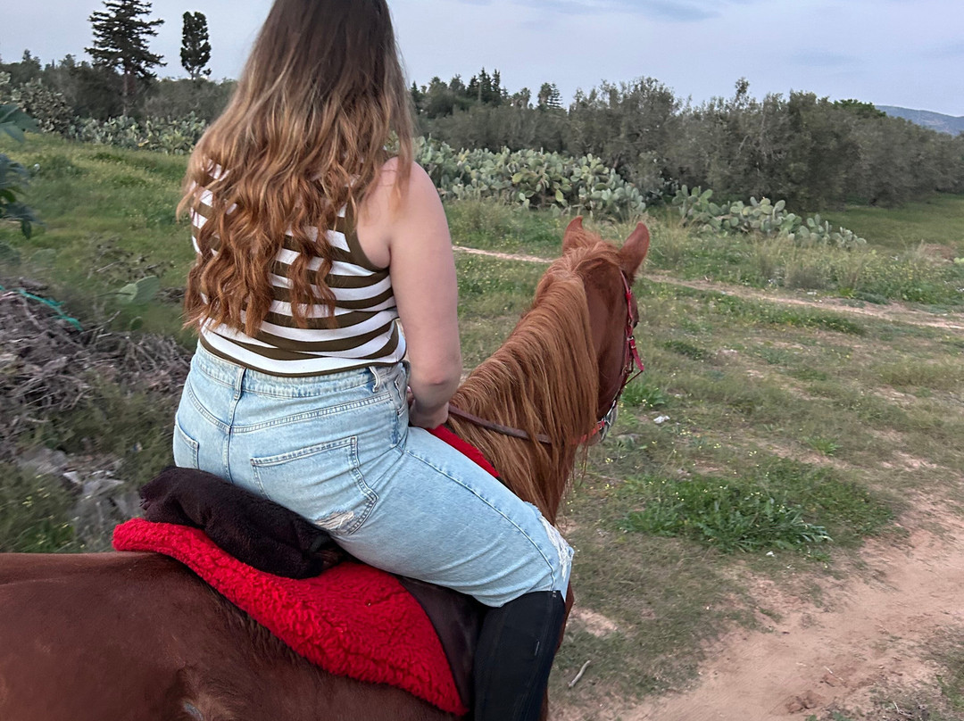 Club Equus Hammamet-哈玛麦德必去景点