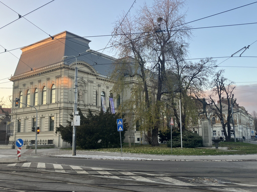 East Slovak Museum in Kosice景点图片