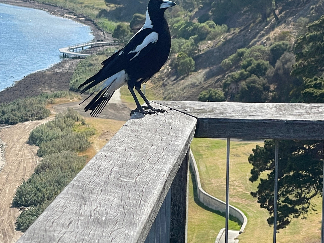 The Dell Picnic Area-Clifton Springs必去景点