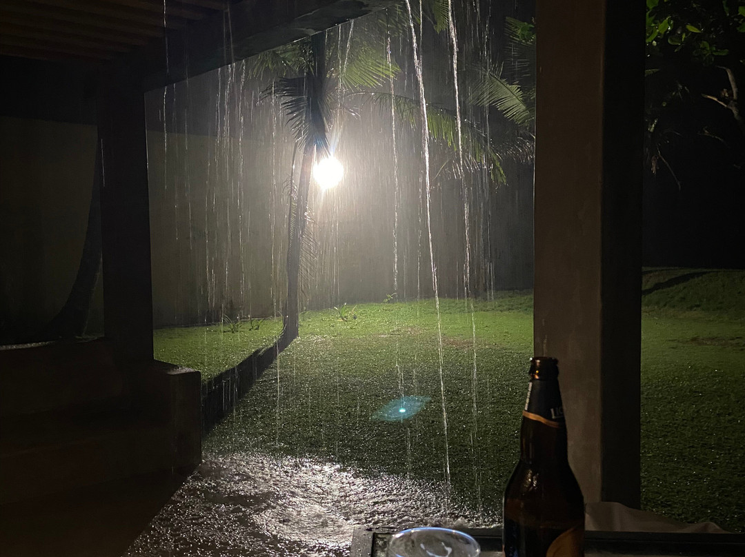 树的弗兰吉帕尼酒店主图