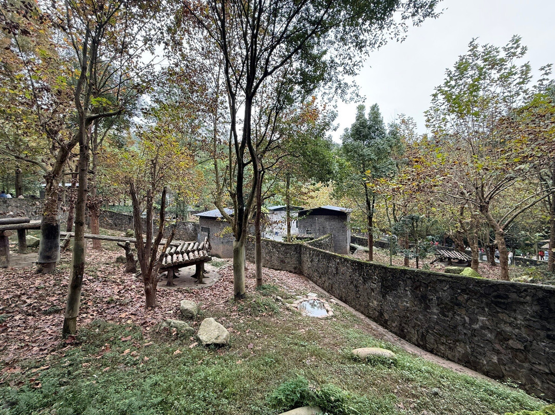 大熊猫保护研究中心都江堰基地-都江堰市必去景点