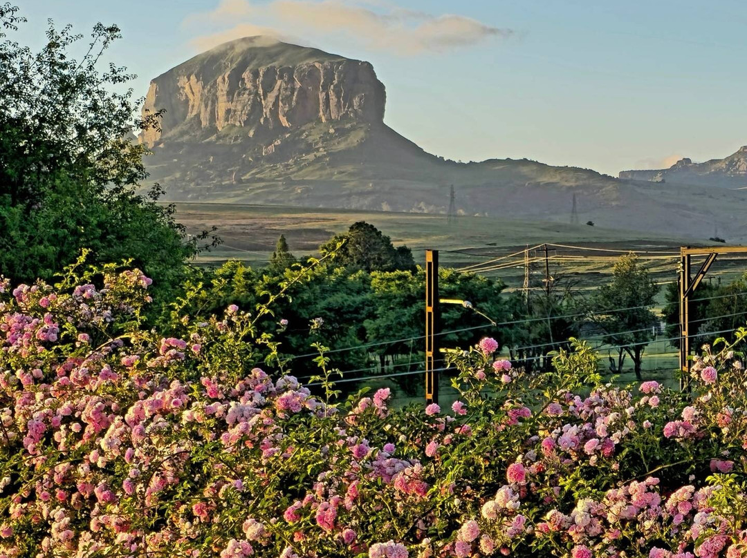 Riverview Country Inn主图