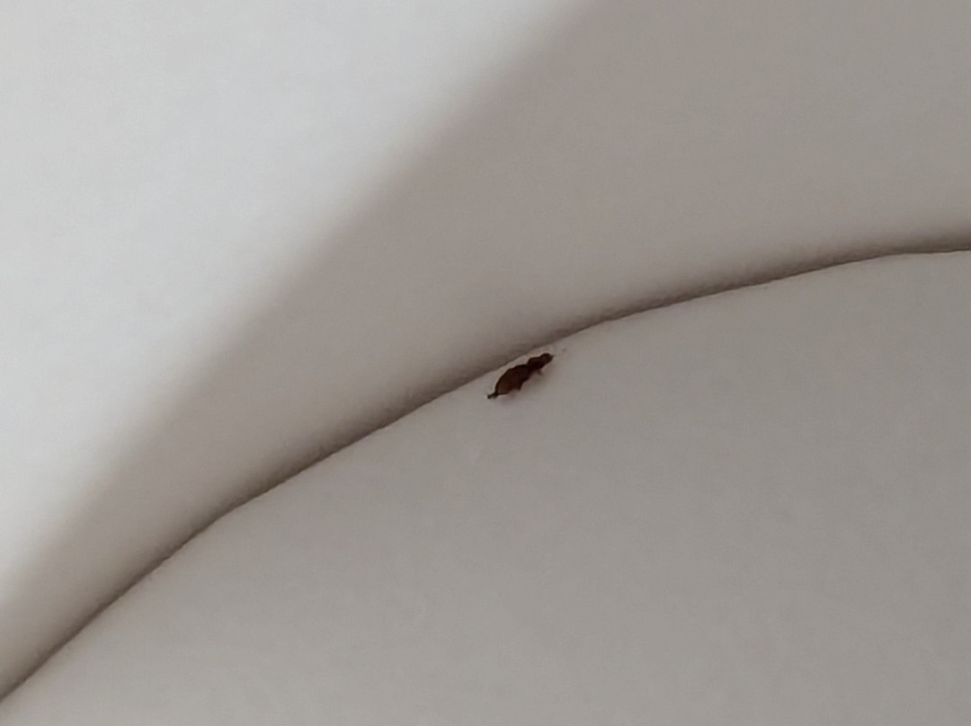 Hampton Inn & Suites Manchester-Bedford主图