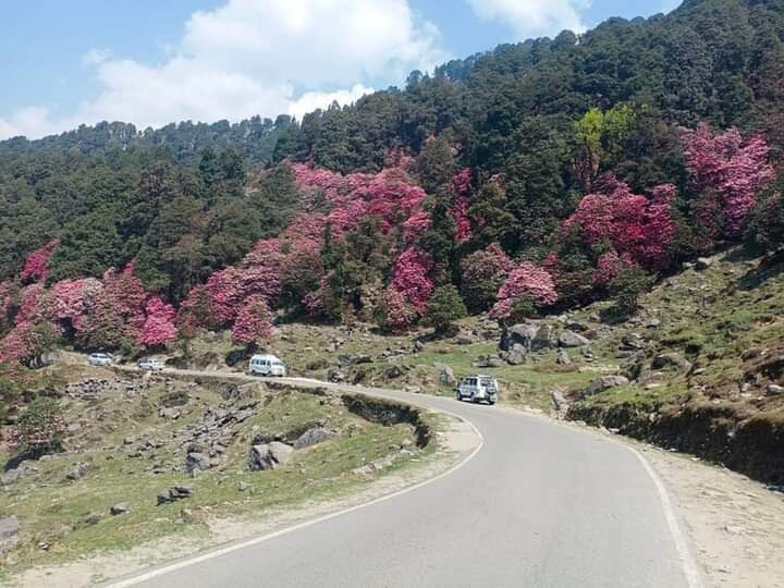 Chopta House Hotel and Restaurant
