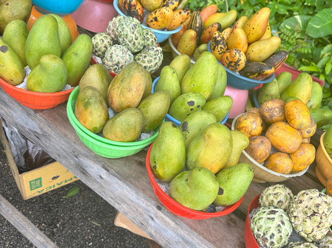 Your Jamaica Tours-奥乔里奥斯必去景点