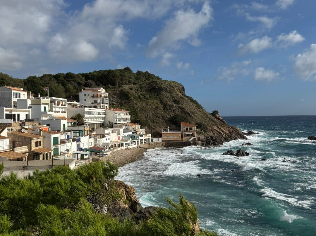 La Fosca Beach景点图片