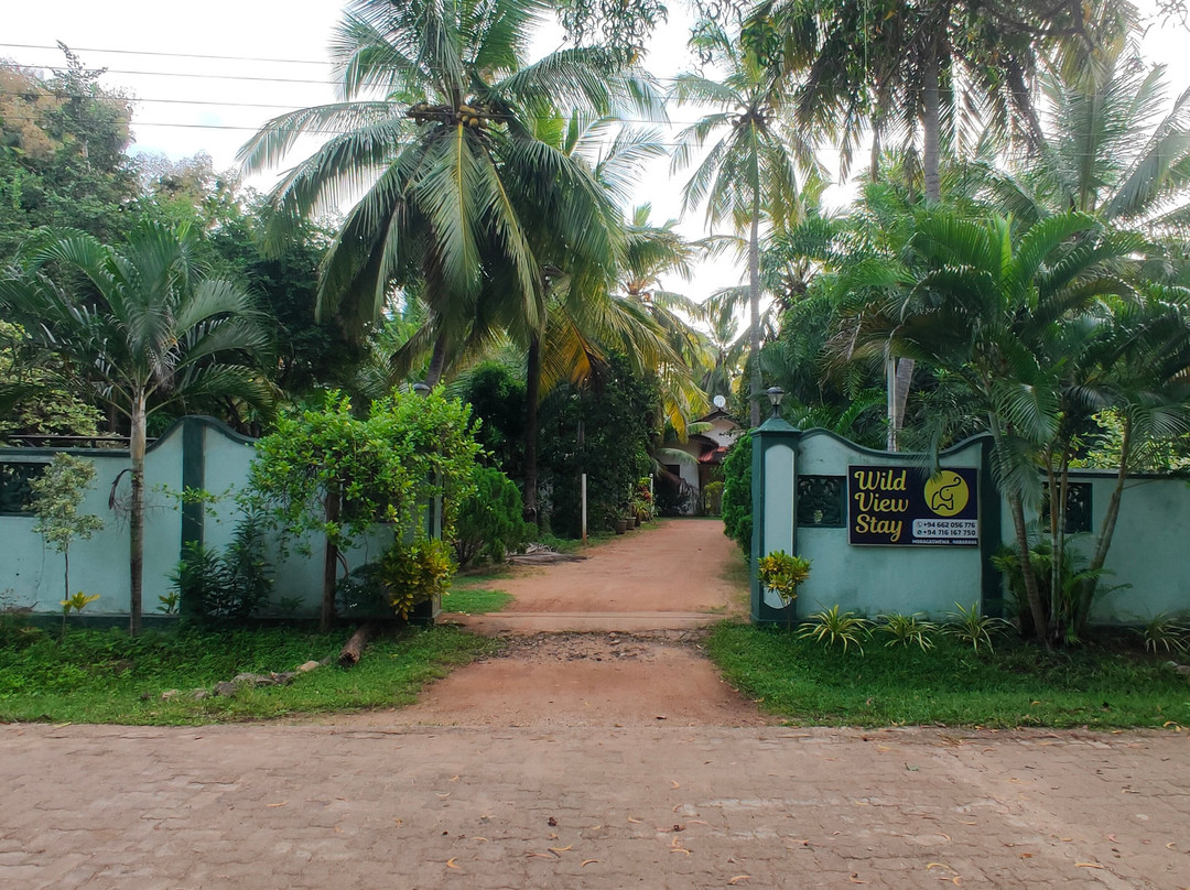 Wild View Resort主图