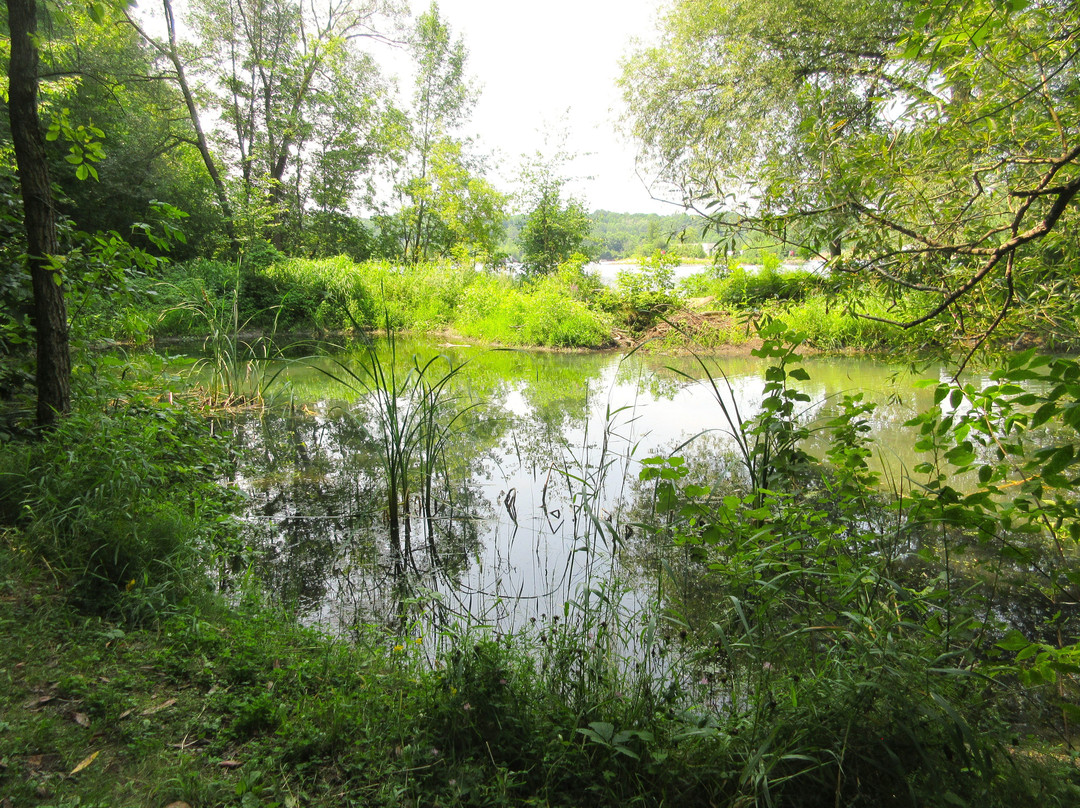 Parc Familial Des Berges景点图片