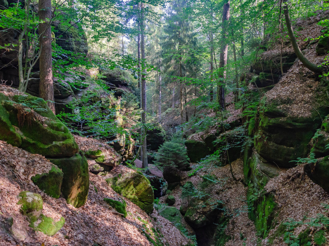 Malerweg Etap 2-Stadt Wehlen必去景点