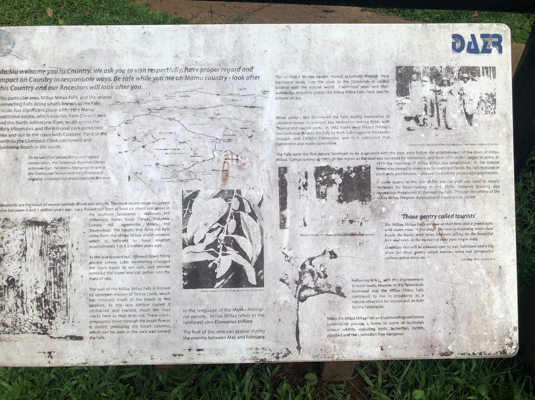 Millaa Millaa Falls-Millaa Millaa必去景点