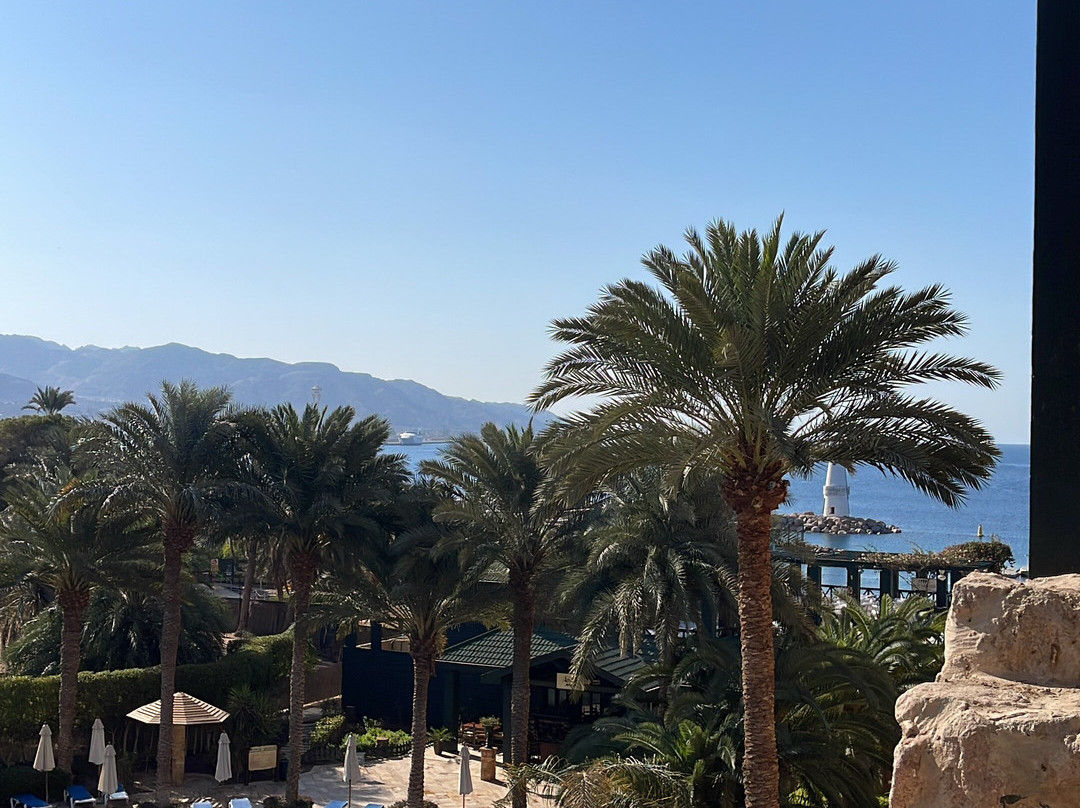 Kinda Travel and Tourism-安曼必去景点