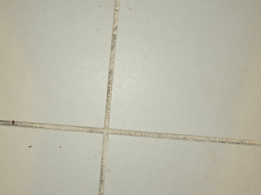 Hilton Rochester Mayo Clinic Area主图