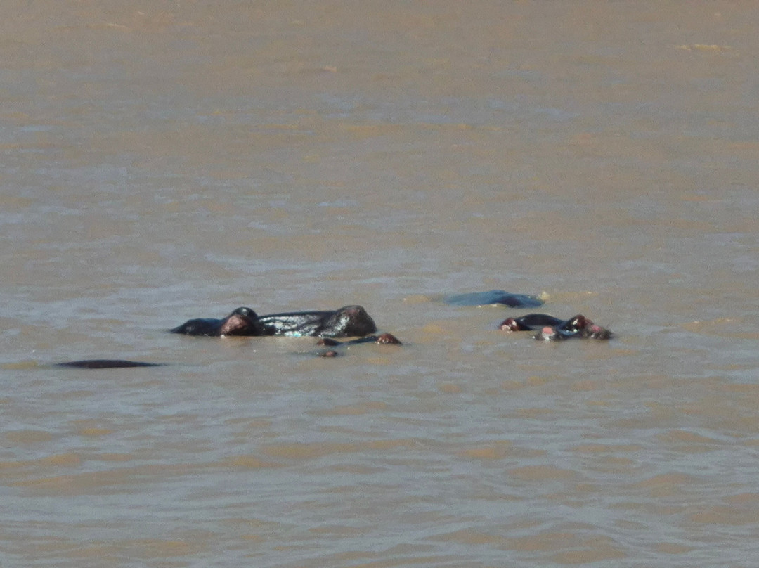 Bhangazi Lodge主图