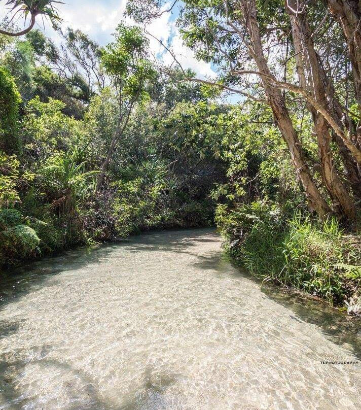 Fraser Island景点图片