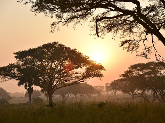 Likyadi Adventures-坎帕拉必去景点