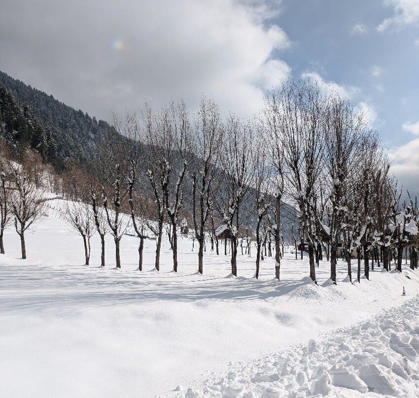 Rohella Guest House主图