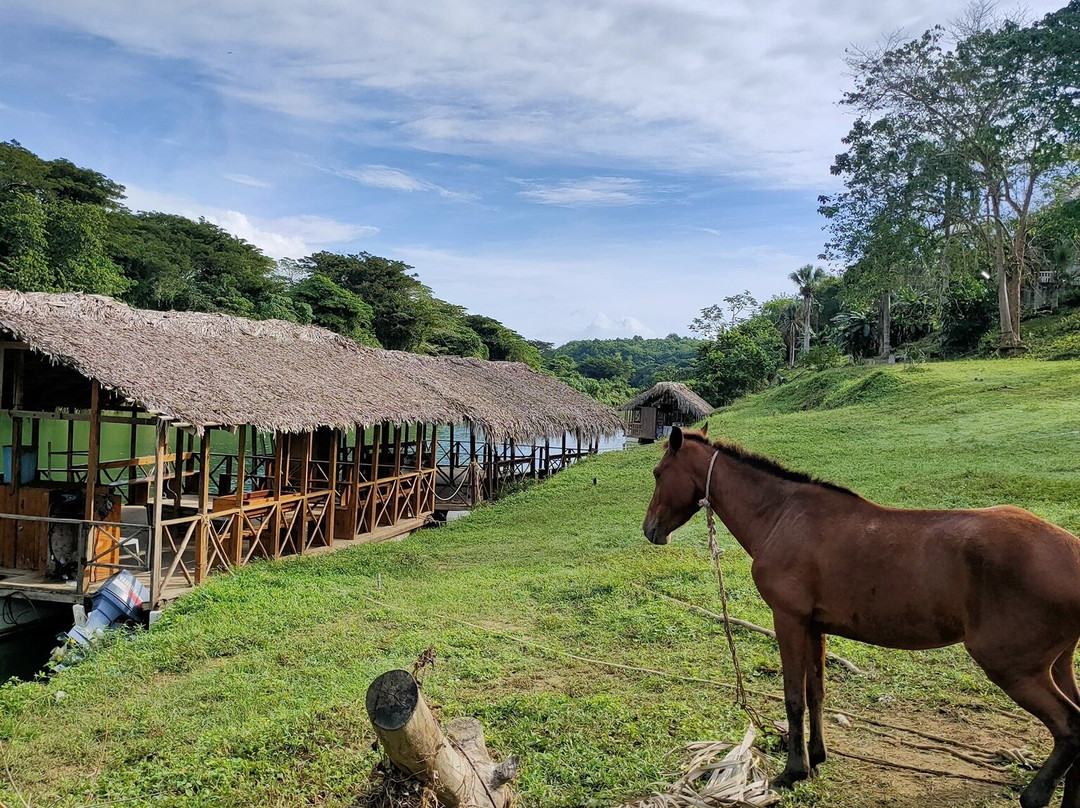 Crazy Wheels-拉罗马纳必去景点