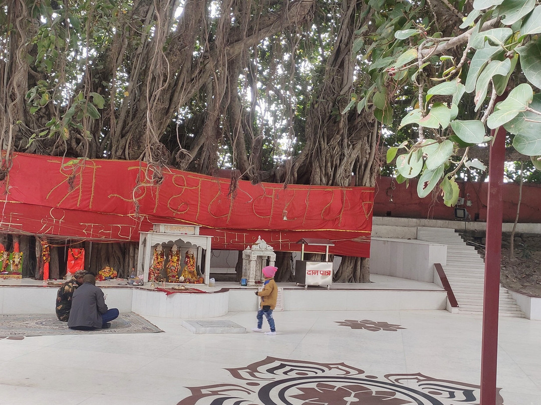 Patalpuri Temple景点图片