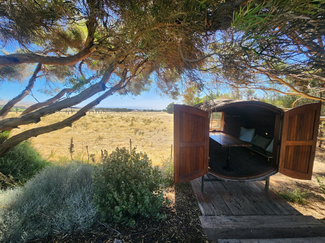 My McLaren Vale-阿德莱德必去景点