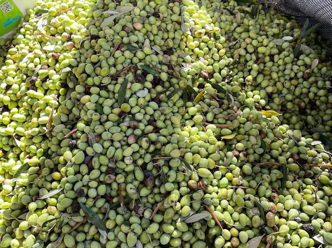 Viva Your Personal Chef-Metaxata必去景点