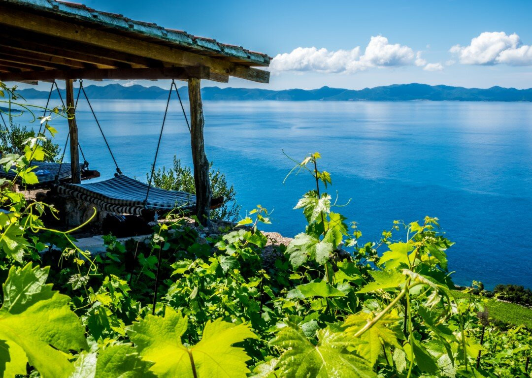 Boutique Winery Vicelić-Pijavicino必去景点