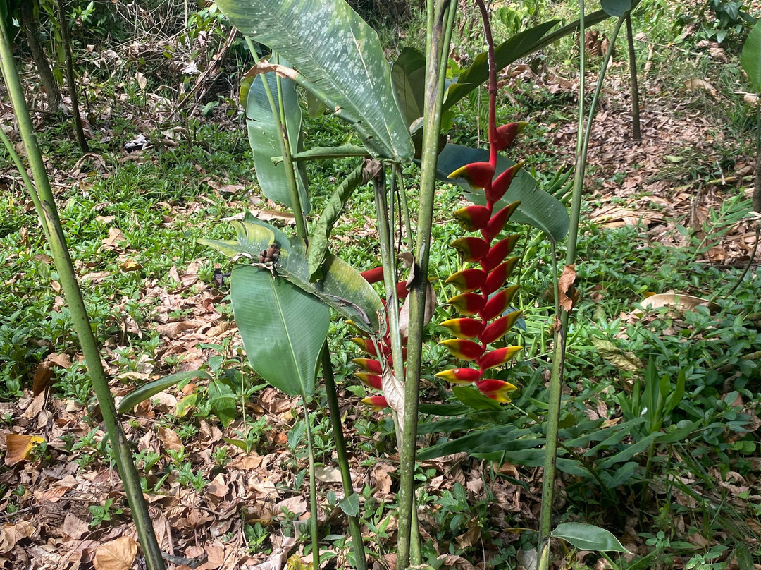 Fazenda Yrere-Ilheus必去景点