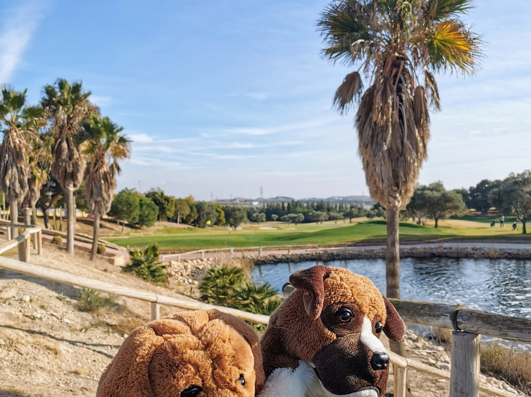 Alenda Club De Golf-Monforte del Cid必去景点