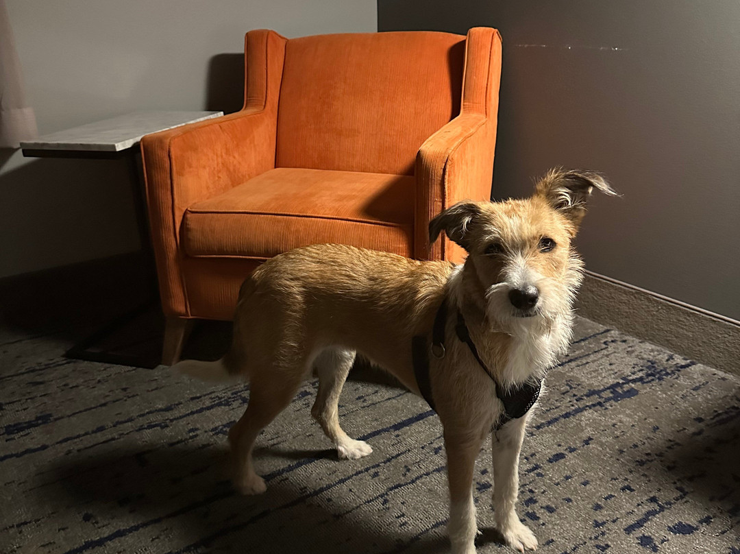 La Quinta Inn & Suites By Wyndham Marysville主图