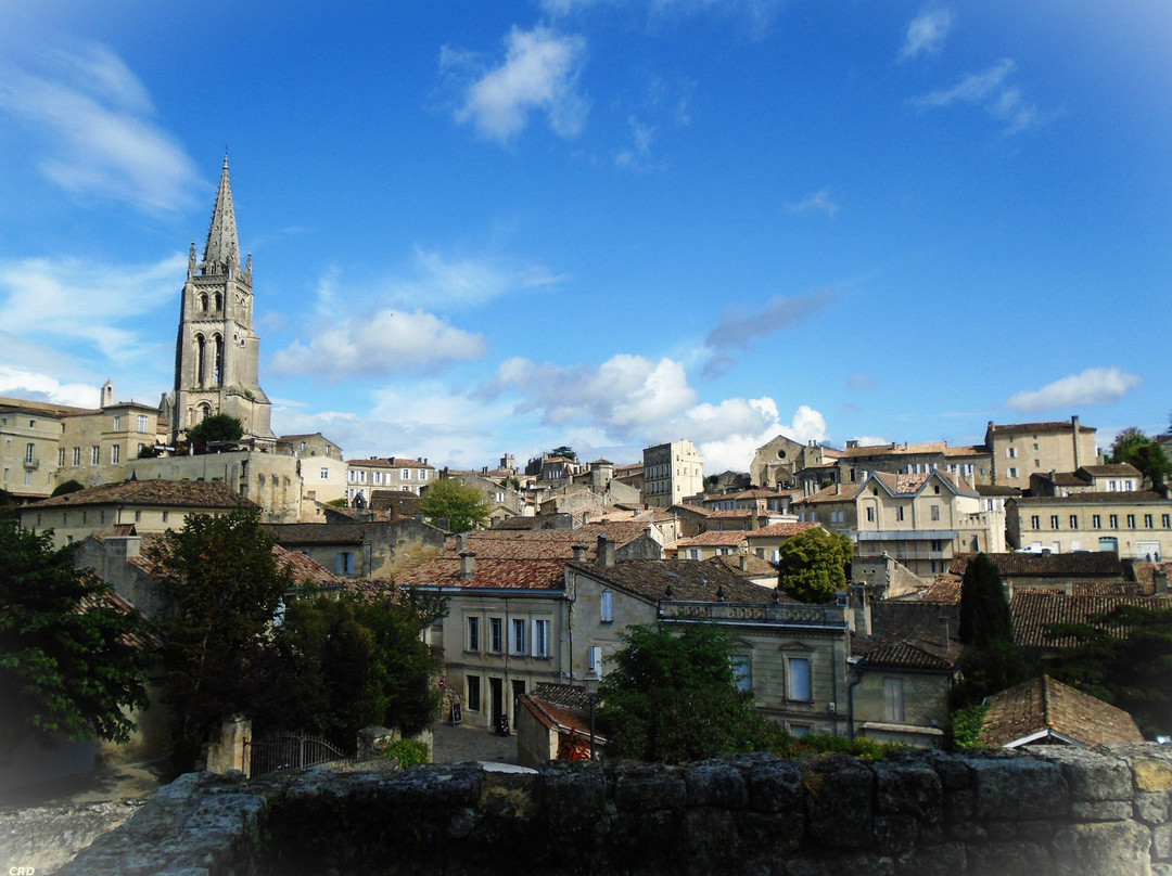 La Tour du Chateau du Roy景点图片