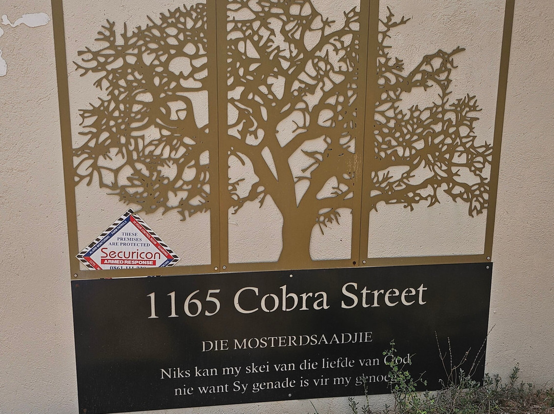 Marloth Park Adventures-玛洛斯帕克必去景点